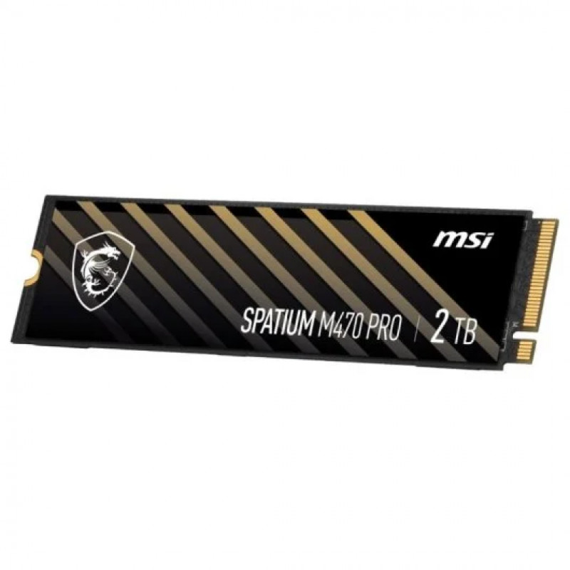 MSI Spatium M470 Pro 2 TB